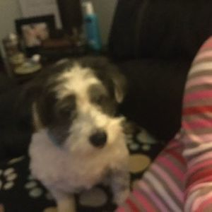 Meet your Posher, Avery